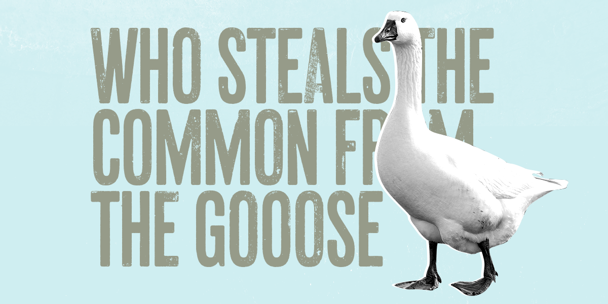 Free, fair and alive - the insurgent power of the commons