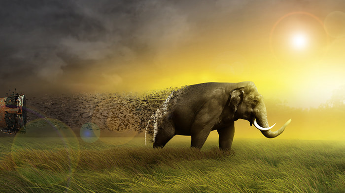 Dead Zone: Where the Wild Things Were