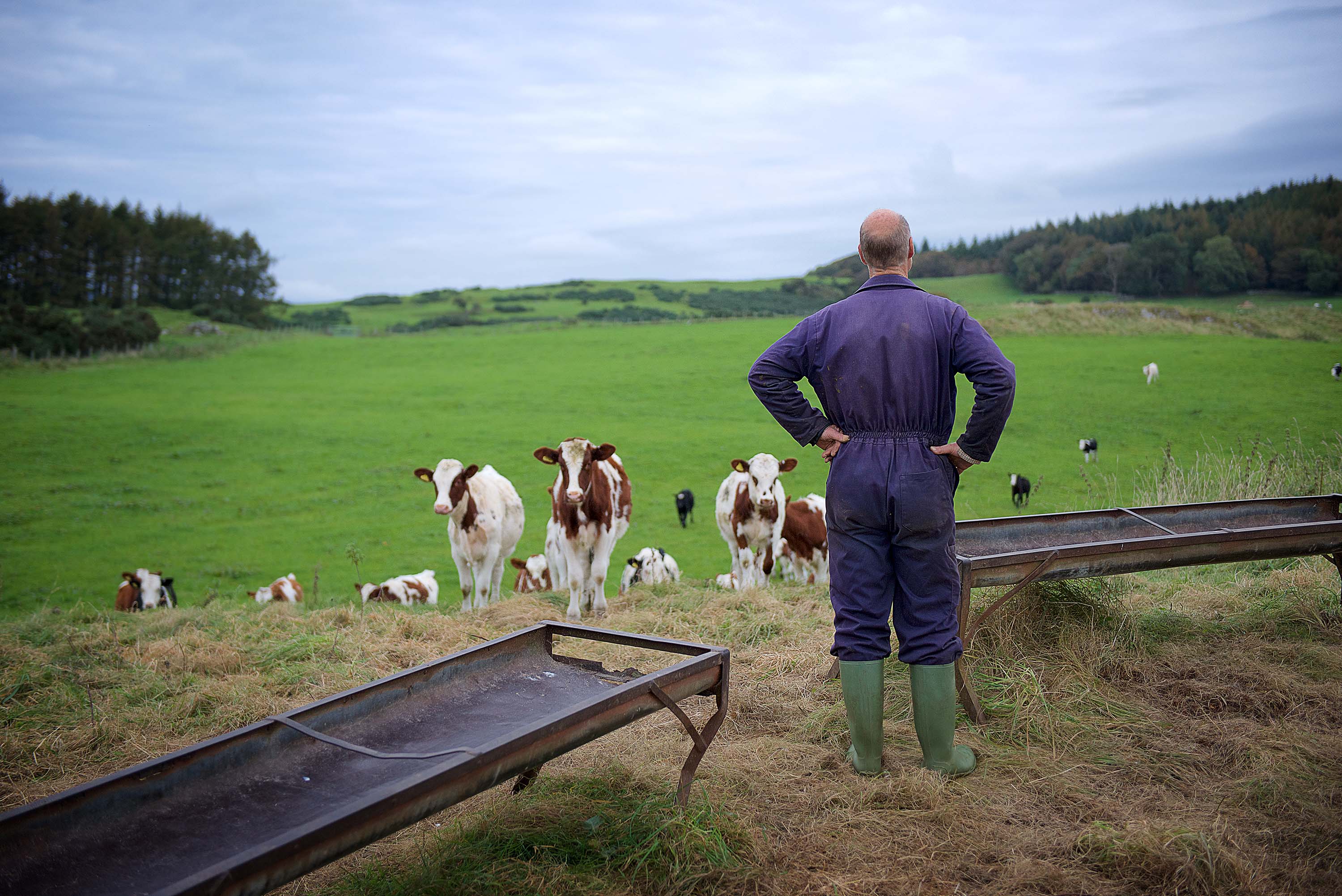 The Ethical Dairy - help start a revolution.
