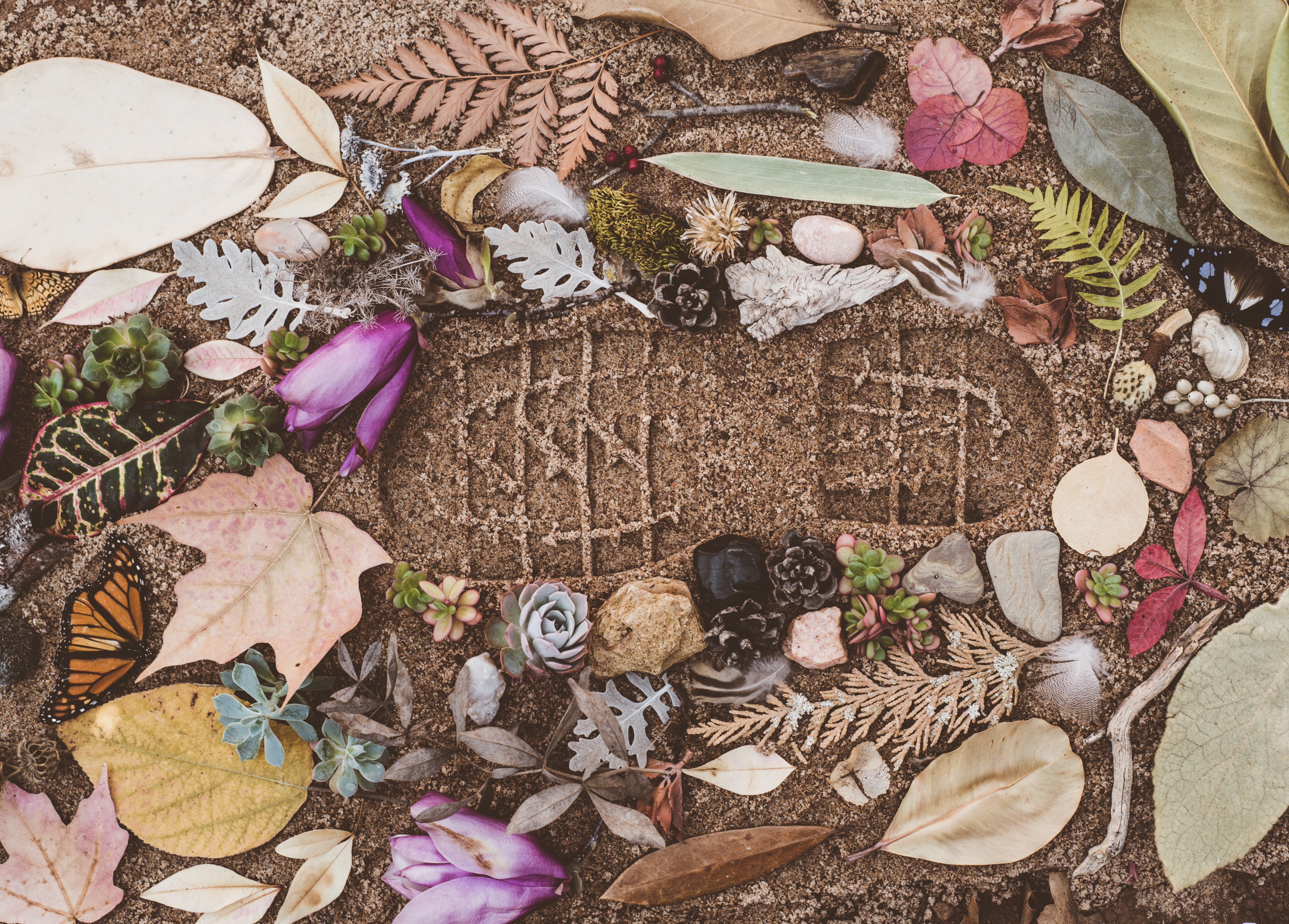 3 things homeowners can do to make their homes more eco-friendly