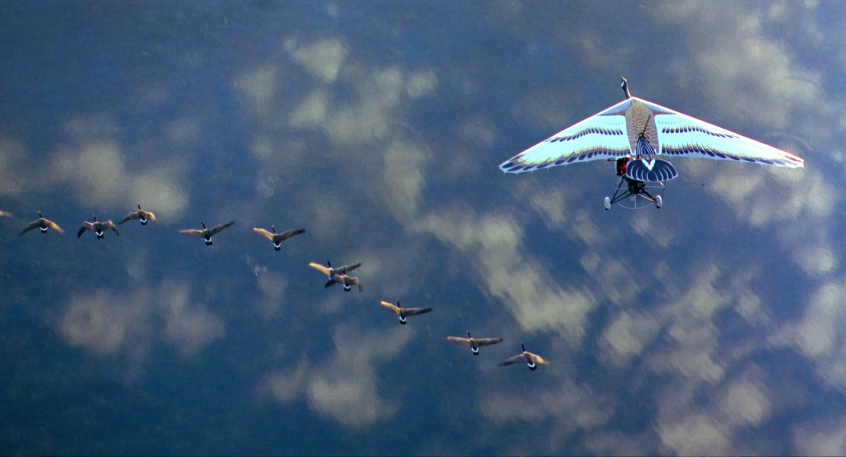 The Limits of Wonder