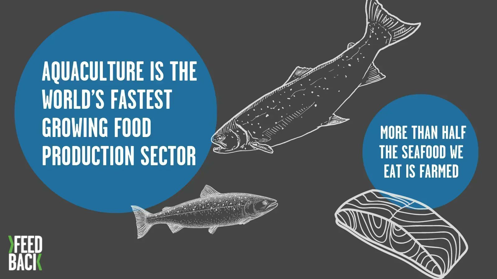 New legal challenge to the 