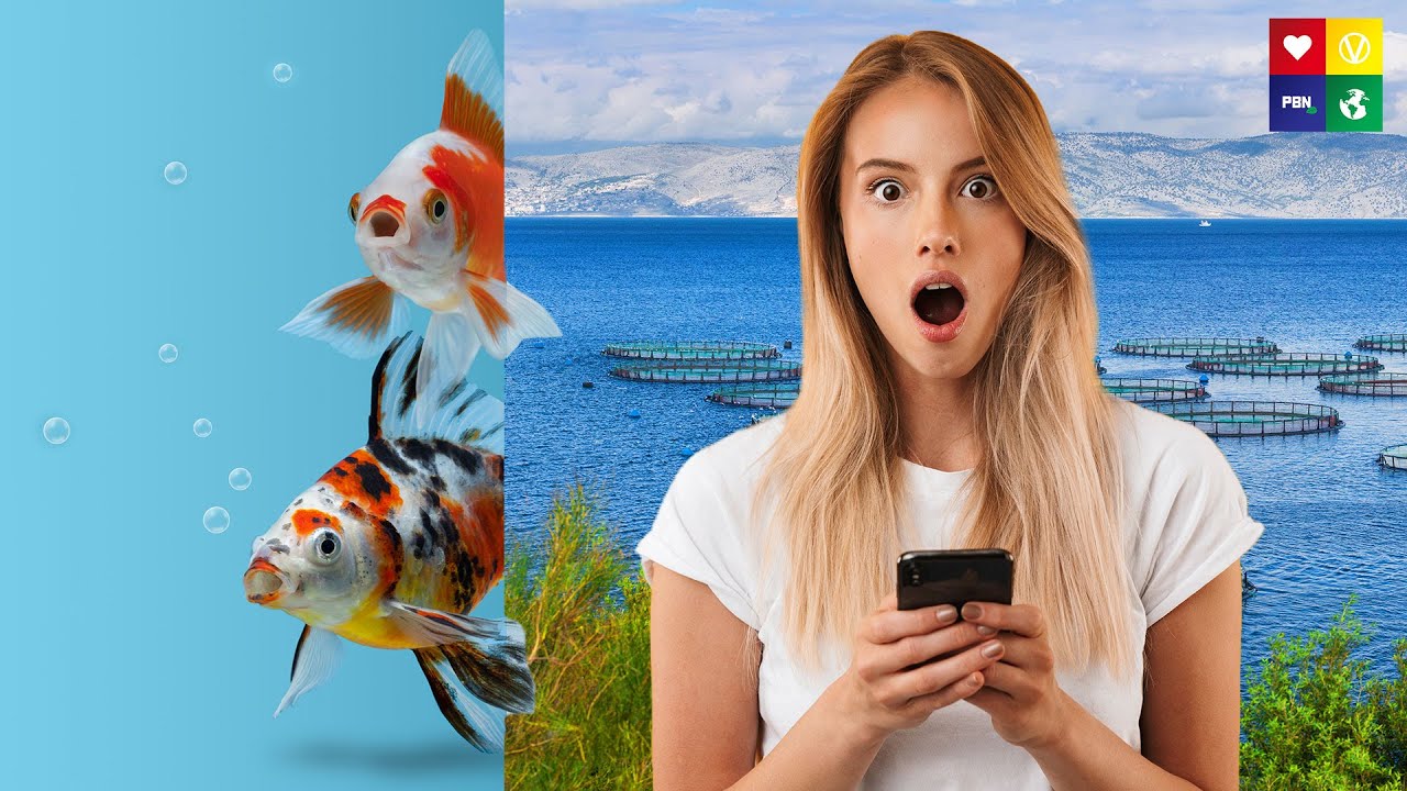 4 shocking facts about fish farms