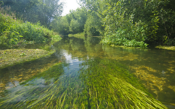 Consultation Survey - Should Frome Give Legal Rights To Nature?