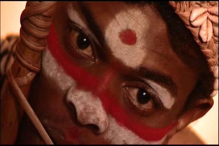 Ibogaine -  a Cure for All Addictions