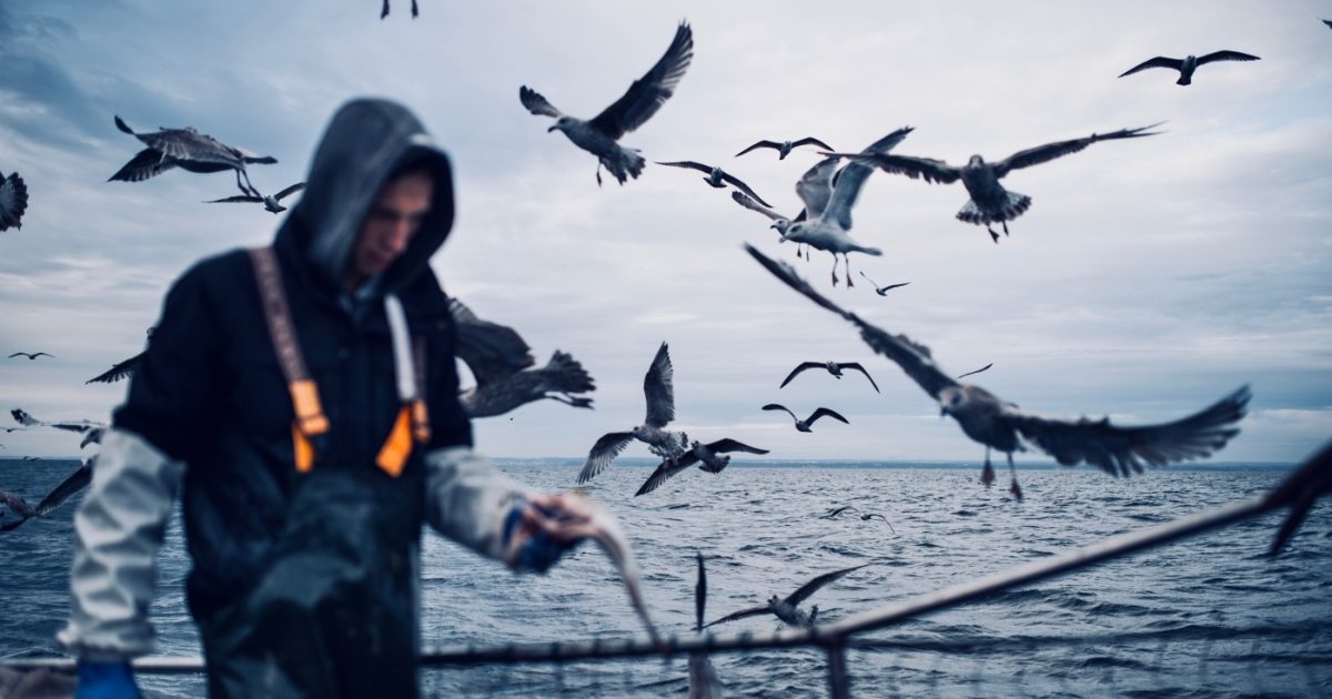 Fishing after Brexit: voices from the coast