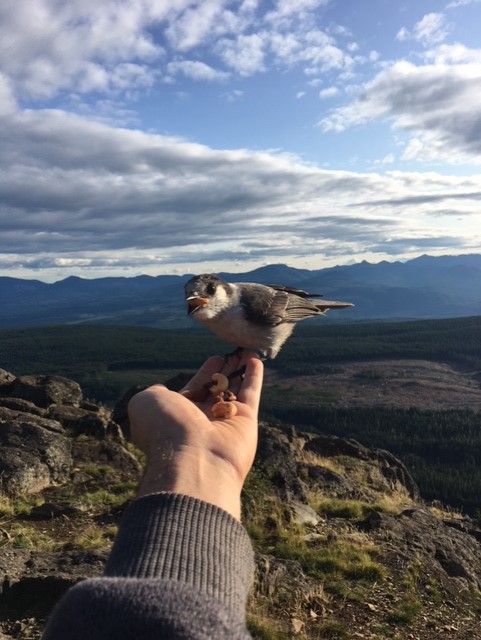 Jay on hand Vancouver Island