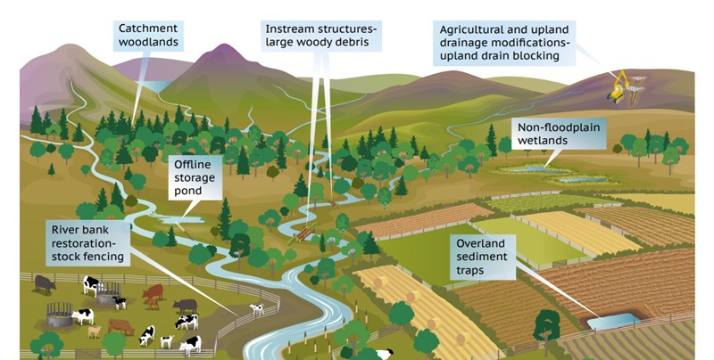 Land use for flood prevention. Image from - 