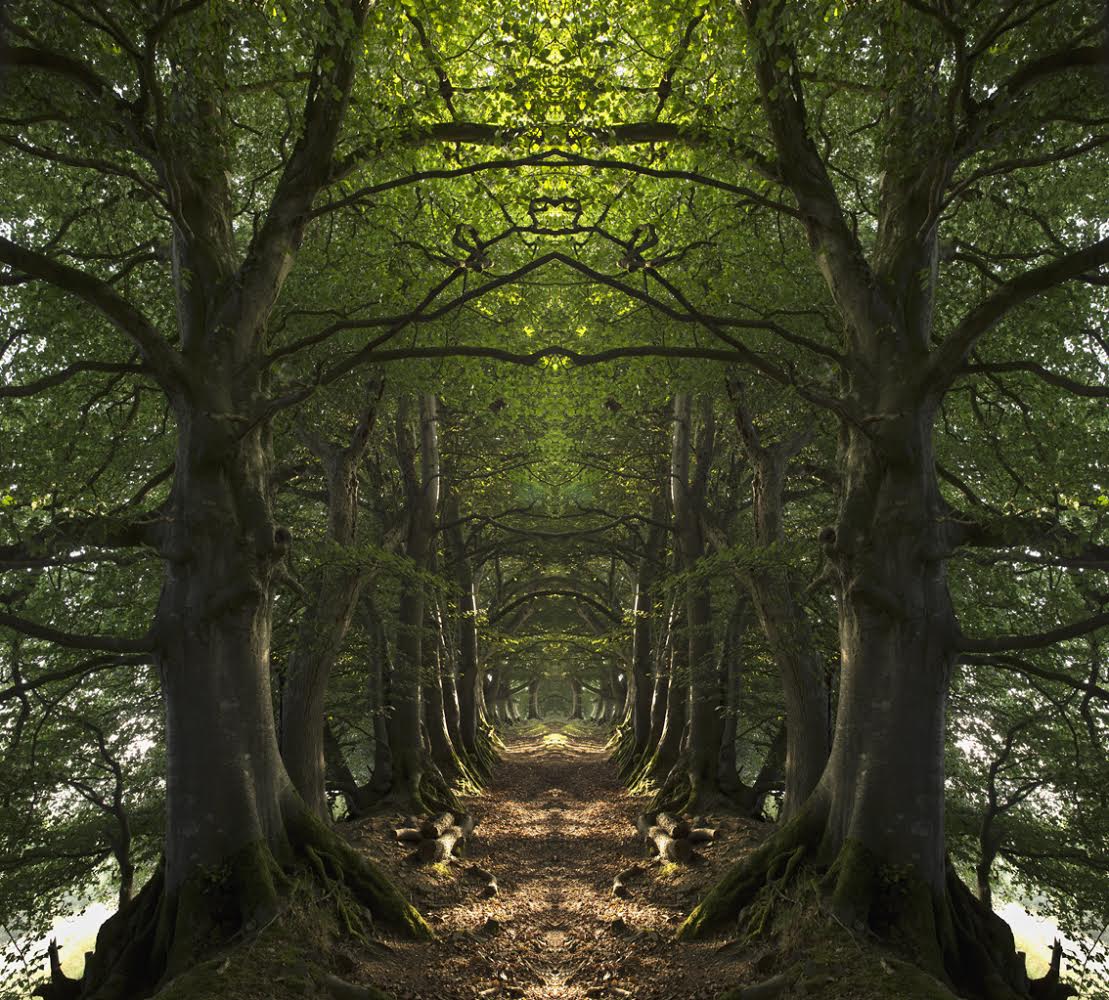 UK's leading Environmental Artists join for London show 