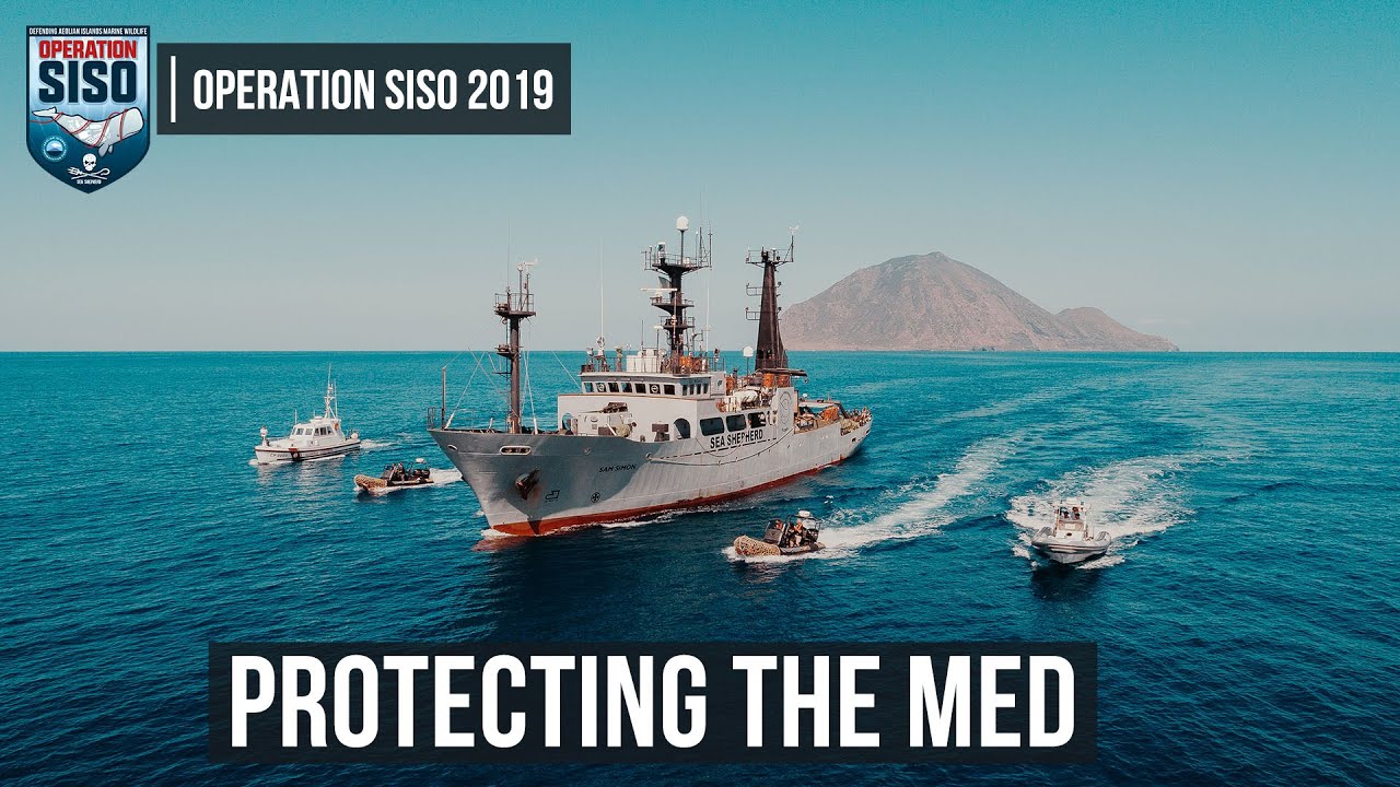 Operation SISO - Mediterranean direct-action campaign against illegal fishing