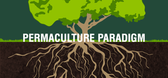 Permaculture Paradigm Podcast