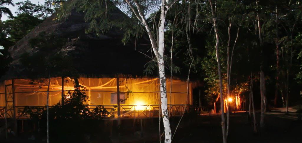 My Amazonian ayahuasca adventure