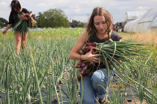 Time for a Cattle Farmer Cull?