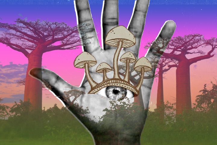  Psychedelics and nature connection