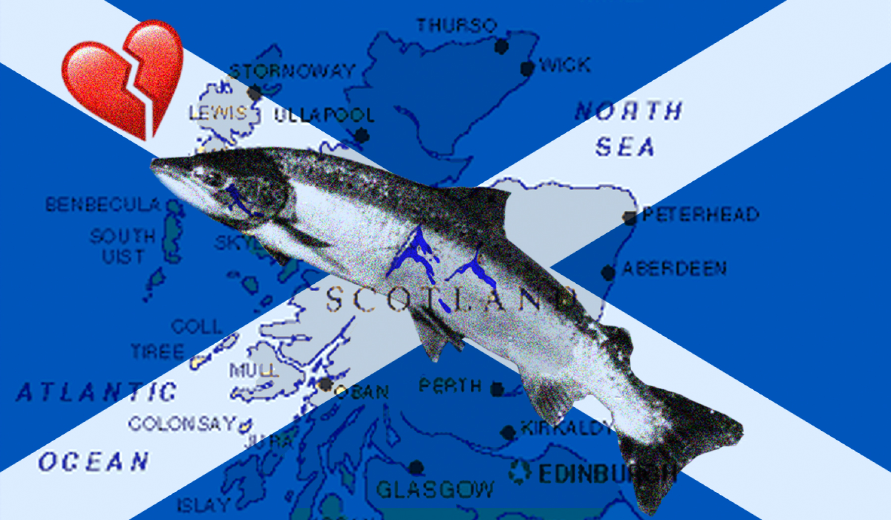 Scotland's wild salmon crisis deepens