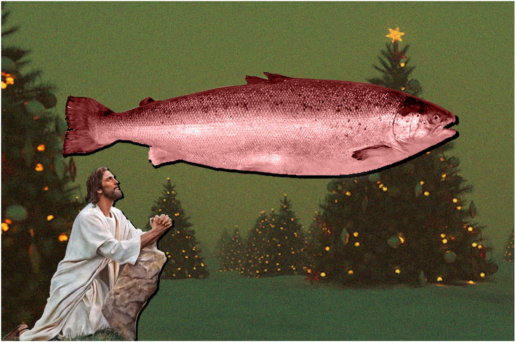 Why salmon should be off the menu this Christmas