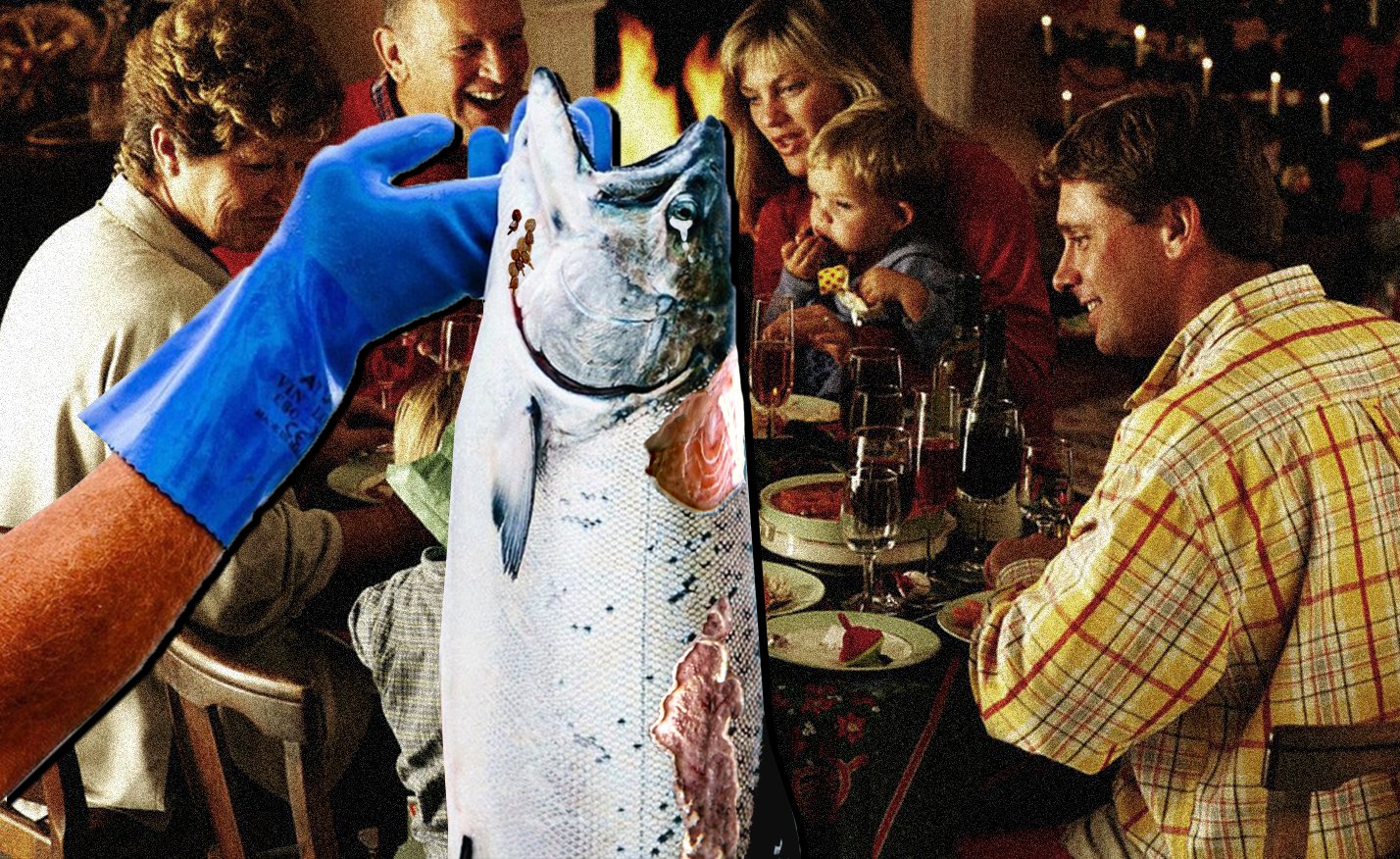 The Great British Christmas Salmon Die Off