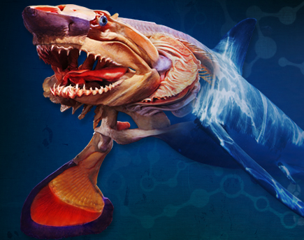 Sea Creatures Exhibition Brings Creatures of the Deep to Land in the UK