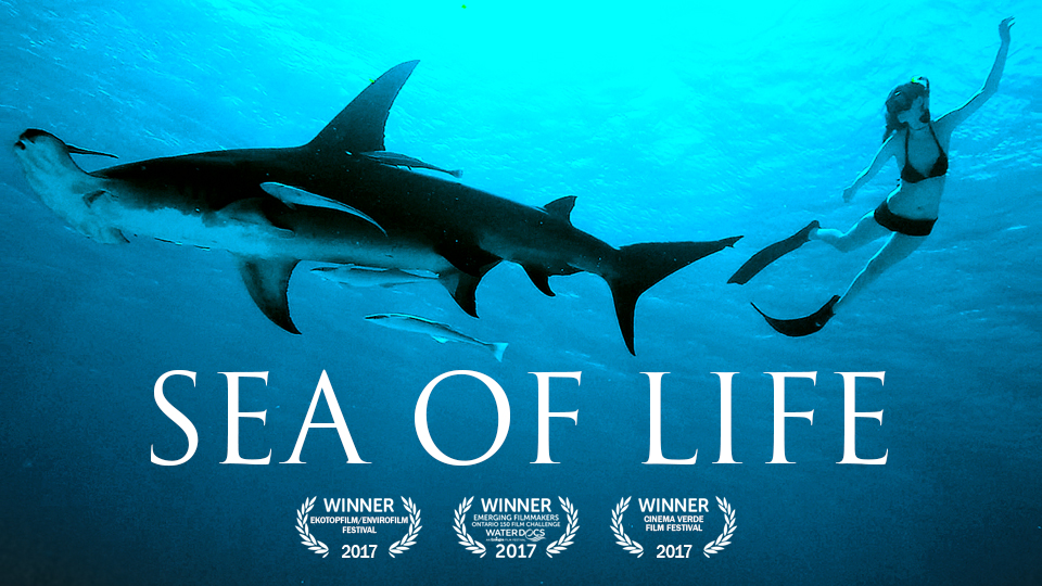 Sea of Life
