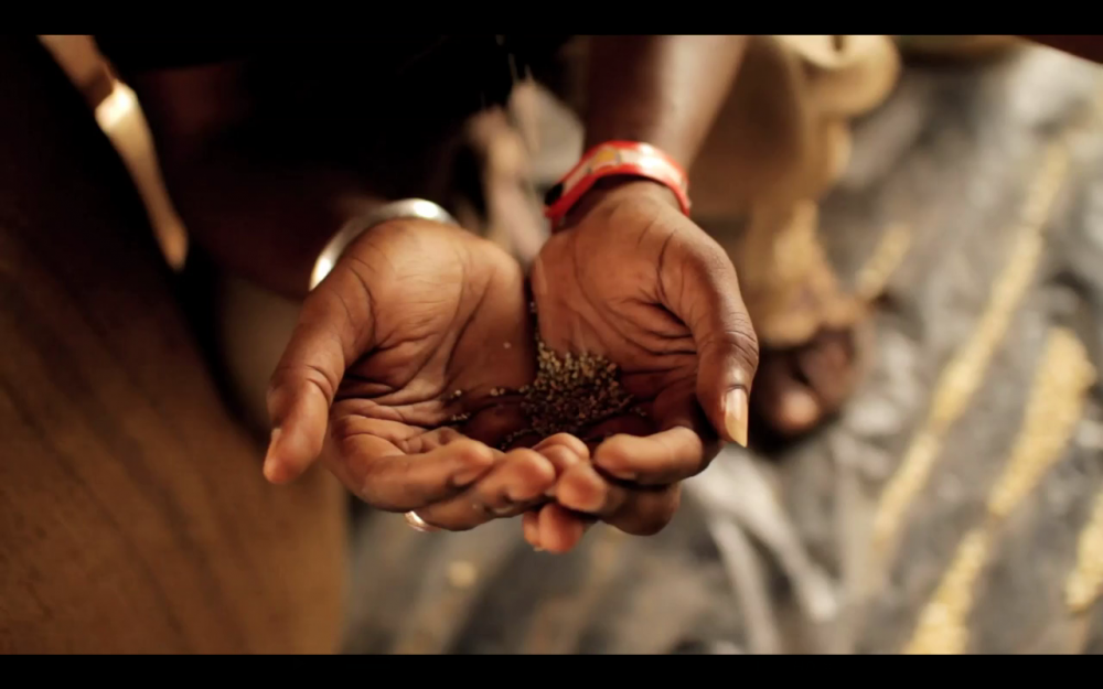  The Farmer, The Architect and The Scientist