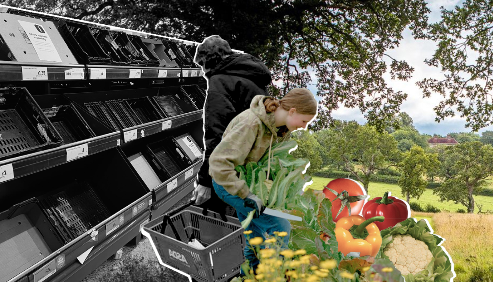 Composting vs. Green Waste Disposal