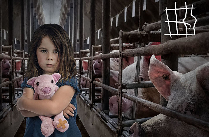 Join #EndTheCageAge to help millions of animals across Europe