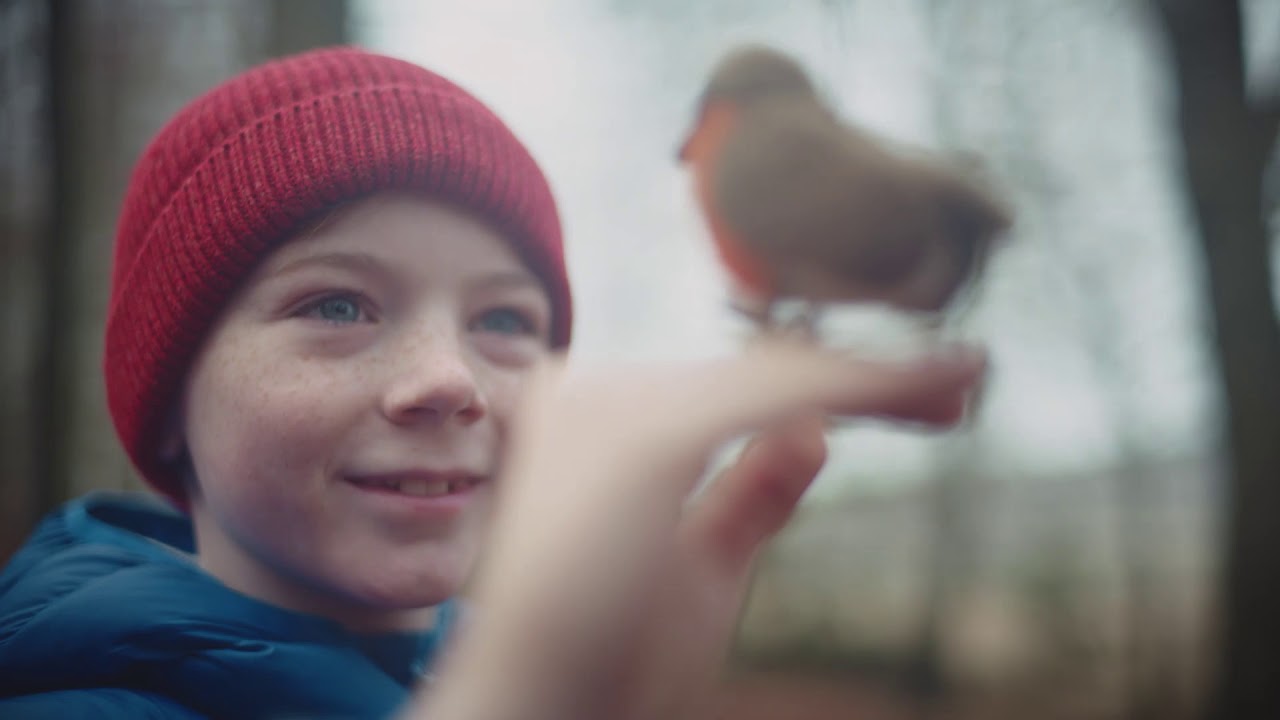 Celebrities lead revolt against extraordinary Christmas treeson