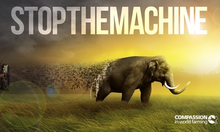 #STOPTHEMACHINE