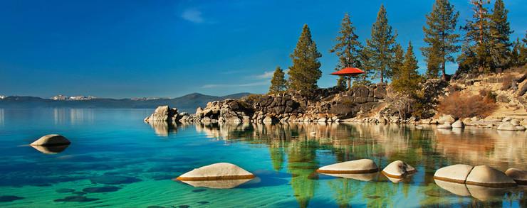 Are You Ready to Camp in the Canopy?