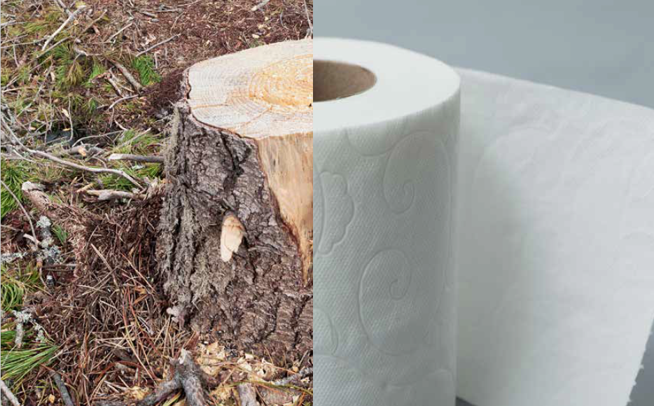 Don't go with Charmin toilet paper