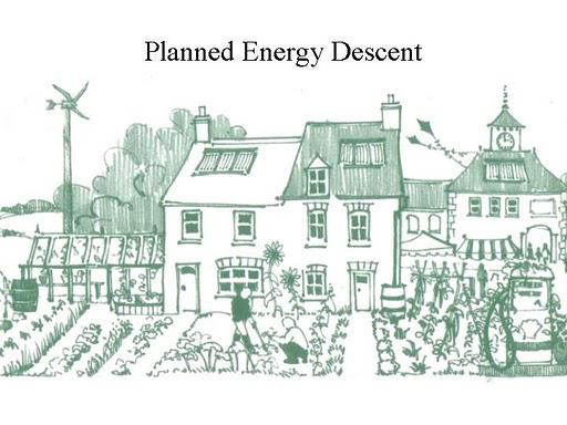 Cover of the Transition Town book