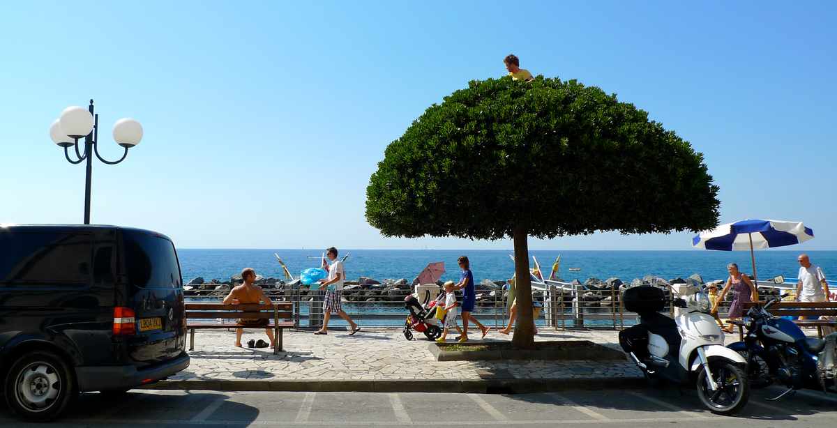 The art of climbing trees