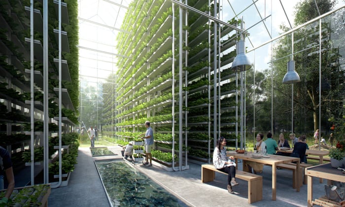 Vertical Farming - a rewilder’s best friend 