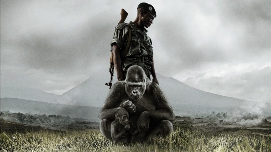 virunga