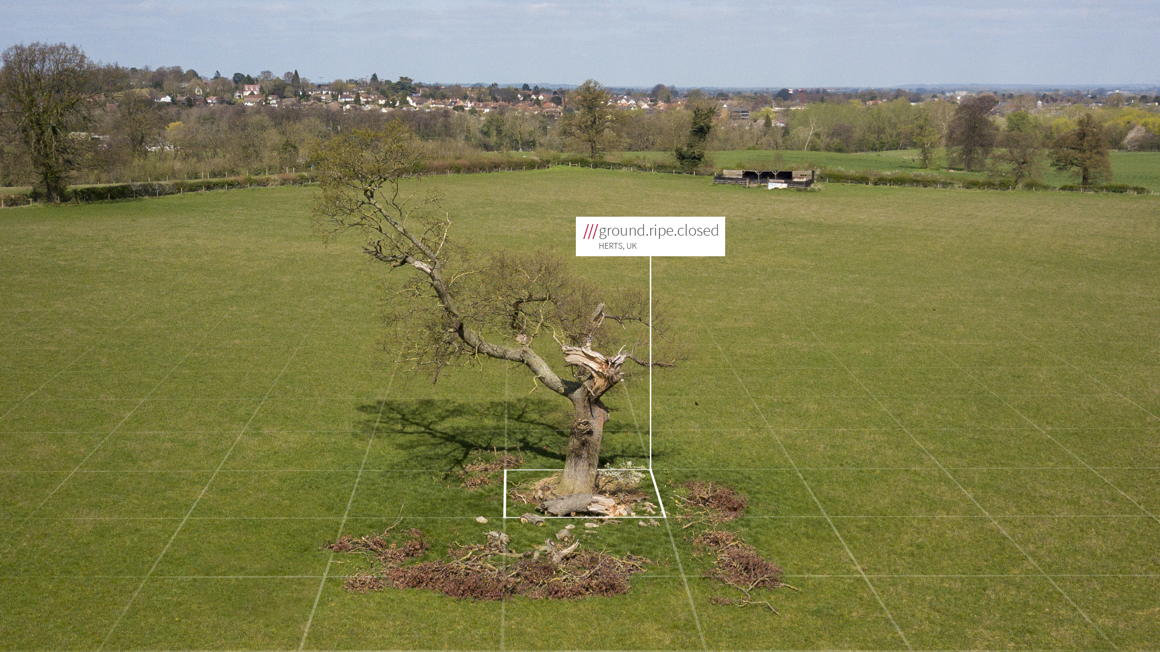 Heal - 'everyone, together' - collaborative rewilding initiative launches