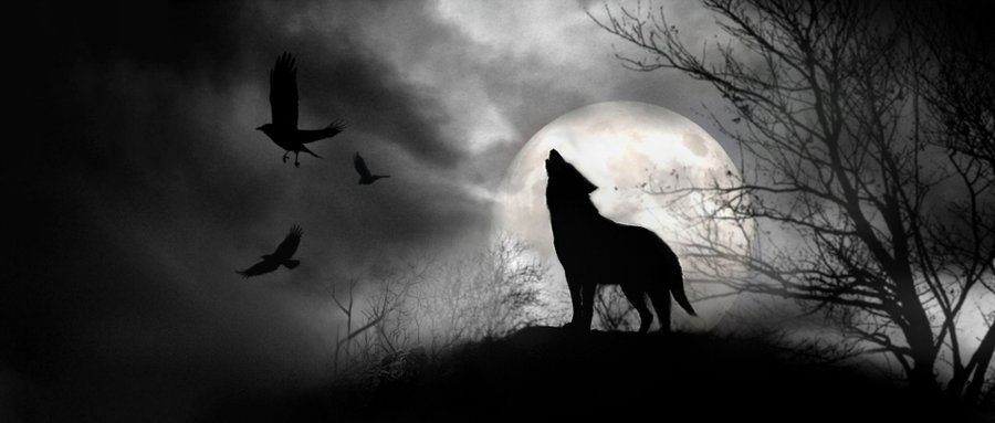 How Wolves Change Rivers